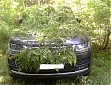 Украденный Range Rover нашли под Ригой в лесных зарослях папоротника Украденный Range Rover нашли под Ригой в лесных зарослях папоротника