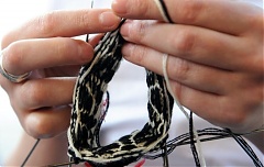Government in Latvia supports amendments to Microenterprise Tax Law Government in Latvia supports amendments to Microenterprise Tax Law