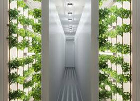 160929_wall_farm.jpg