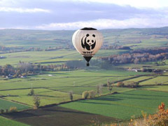 080625_wwf.jpg