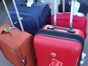 140609_migracija.jpg