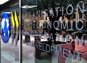 141103_oecd.jpg