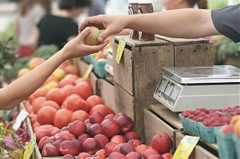 180910_apples.jpg