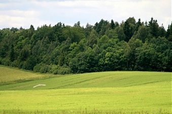 191014_landLT.jpg