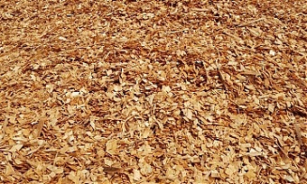 200626_wood_fiber.jpg