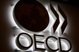 241120_oecd.jpg