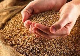 170313_agri_cult.jpg
