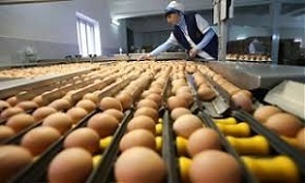 190714_baltic_egg.jpg