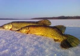 190111_fish_lake.jpg