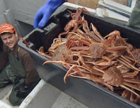 170124_crab_catcher.jpg