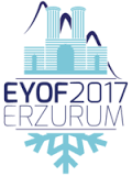 170127_erzurum.png