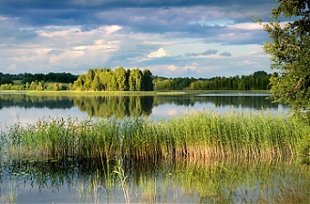 191202_natureLV.png