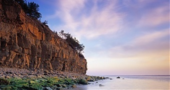 200507_islandsEE.jpg
