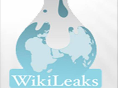 101130_Wikileaks.jpg