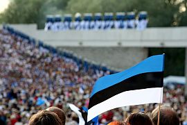 121108_eston_flag.jpg