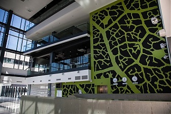 200723_talltech.jpg