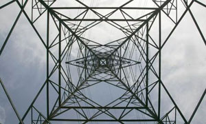 090206_leo_lt.jpg