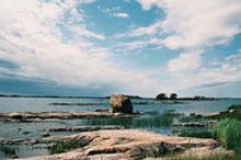100209_bsag.jpg