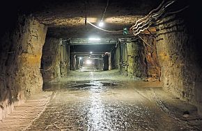 130311_slanec_shah_est.jpg