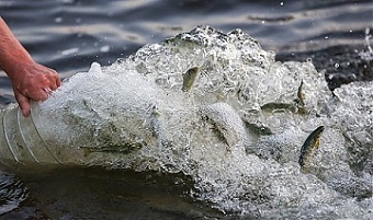 190524_fishRU.jpg