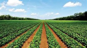 200514_farmersEE.jpg