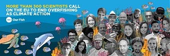 200910_overfish.jpg