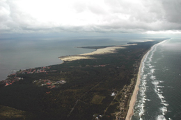 110315_neringa.jpg