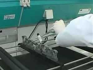 110728_rigvir.jpg