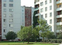 120809_latio.jpg