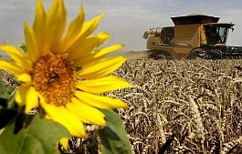 130524_trigon_agri.jpg