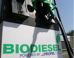 160813biofuel.jpeg