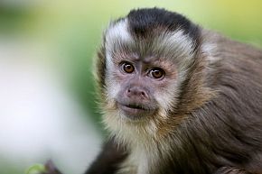 131122_marka_zoo_lit.JPG