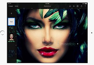 141211_pixelmator_ipad.jpg