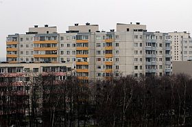 141222_nedviz_tall.jpg