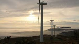 170130_wind_farm_ikea.jpg