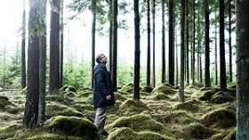 180119_ikea_forest.jpg