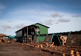 180713_timberlex.jpg