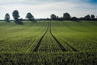180911_agriculture.jpg