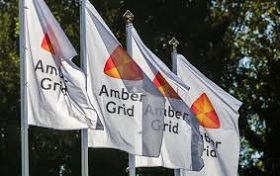 190315_amber_grid.jpg