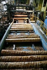 190315_forestry.jpg
