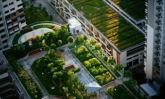 200121_architects.jpg
