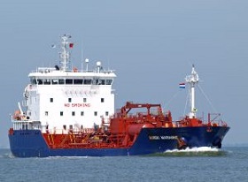 200320_fulmar.jpg