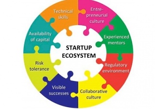 040620_startuo_ecosyst.jpg