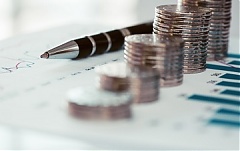 Lithuanian president signs 2021 budget bill into law Lithuanian president signs 2021 budget bill into law