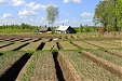 Estonia: Foreign workers allowed to continue short-term work in agriculture Estonia: Foreign workers allowed to continue short-term work in agriculture