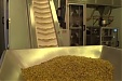 Riga pharmaceutical factory raises profit 2.8 times in 2019 Riga pharmaceutical factory raises profit 2.8 times in 2019