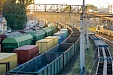 Shipping of rail freight in Latvia down 44.8% in first 11 months Shipping of rail freight in Latvia down 44.8% in first 11 months