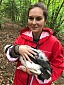Rietumu Supports New Black Stork Conservation Project Rietumu Supports New Black Stork Conservation Project