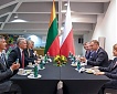 Lithuanian president says no reason for pushing back power grid synchronization dates Lithuanian president says no reason for pushing back power grid synchronization dates