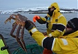 Snow crabbing case over Latvia ends up in international court of arbitration Snow crabbing case over Latvia ends up in international court of arbitration